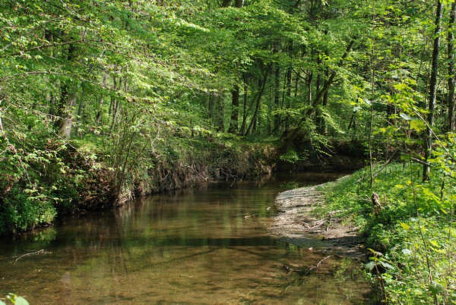 Auw Lder Bund Naturschutz In Bayern E V