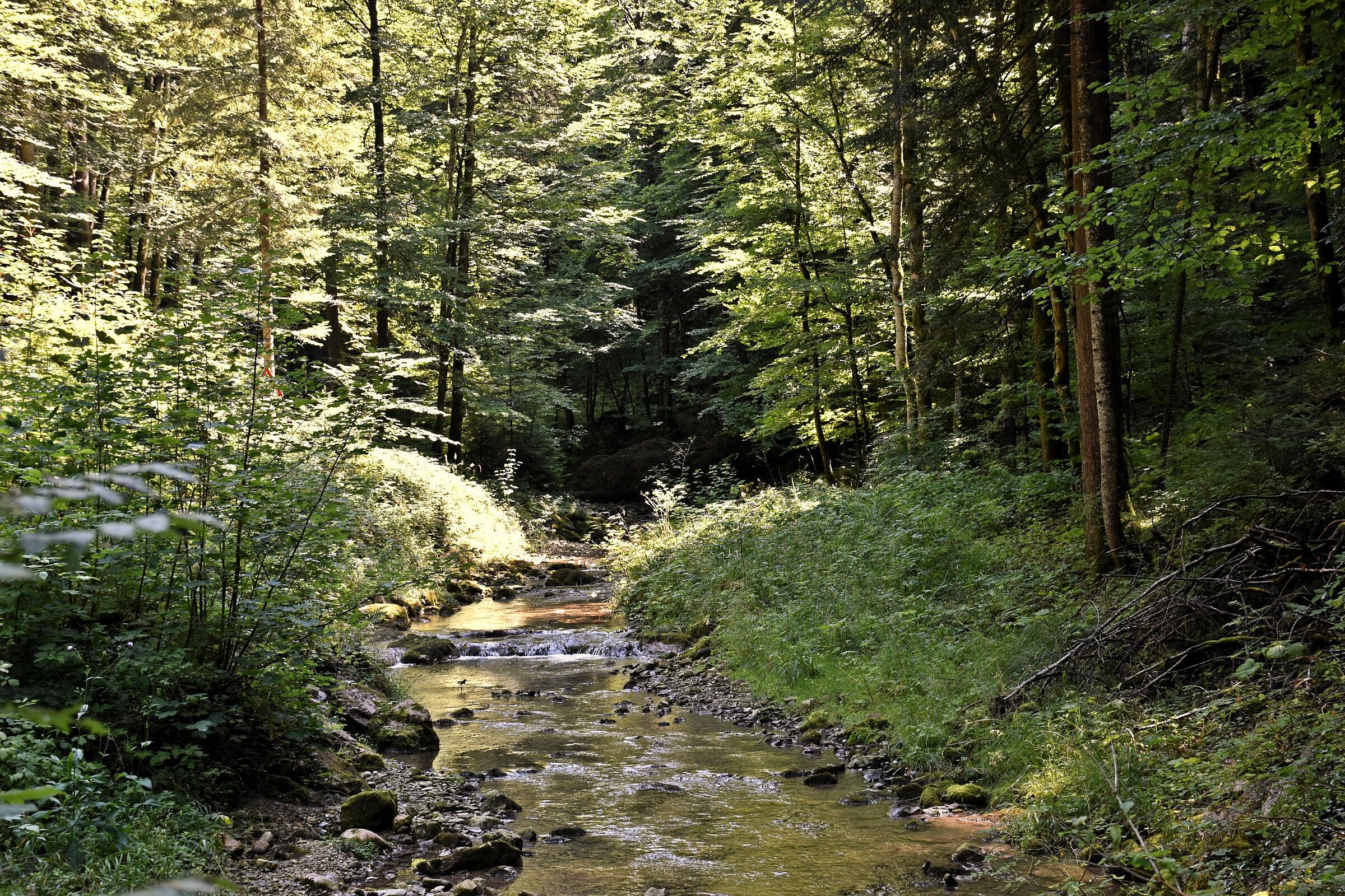 Idyllischer Bachlauf