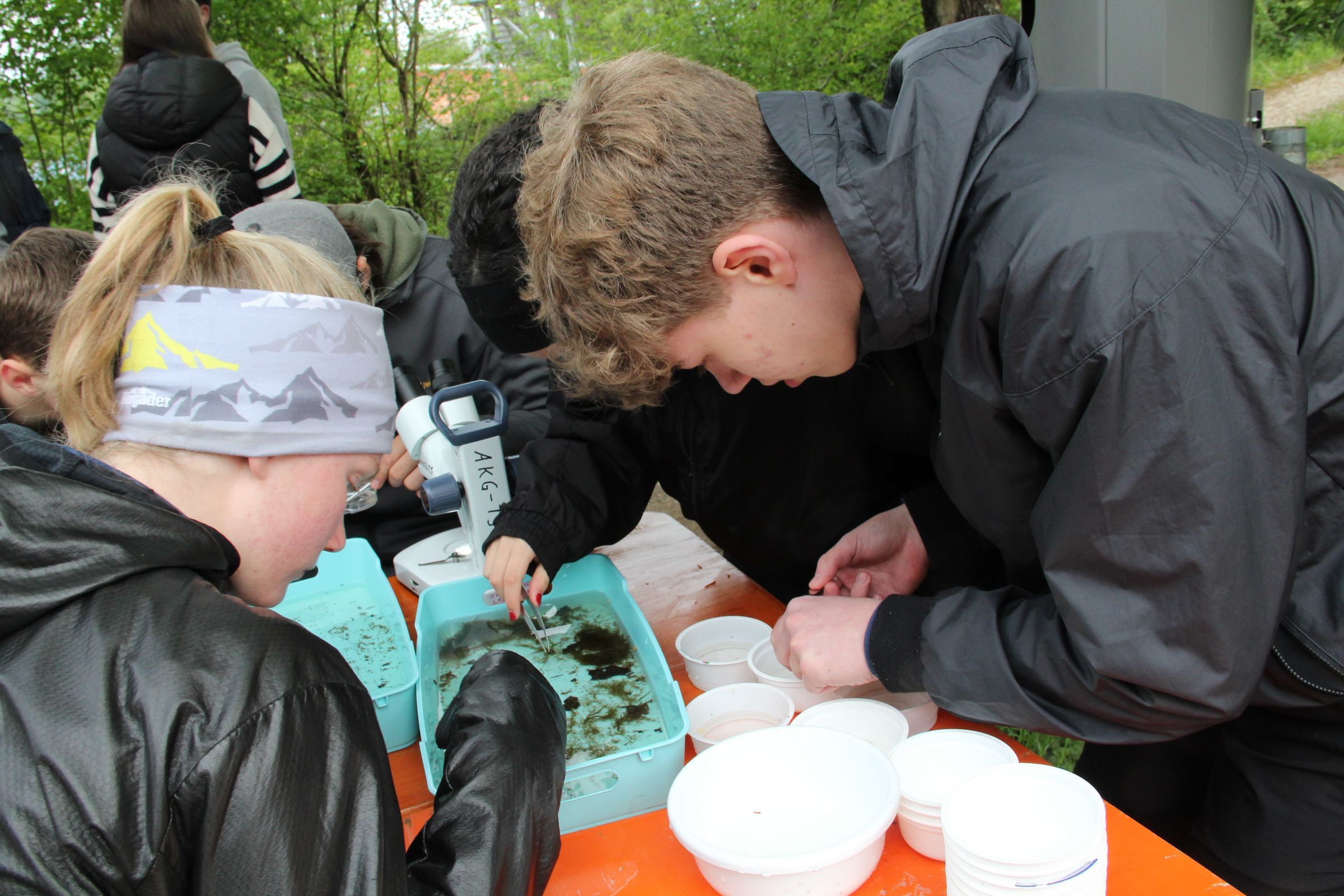 Schüler untersuchen Wasserorganismen beim Flow-Projekt