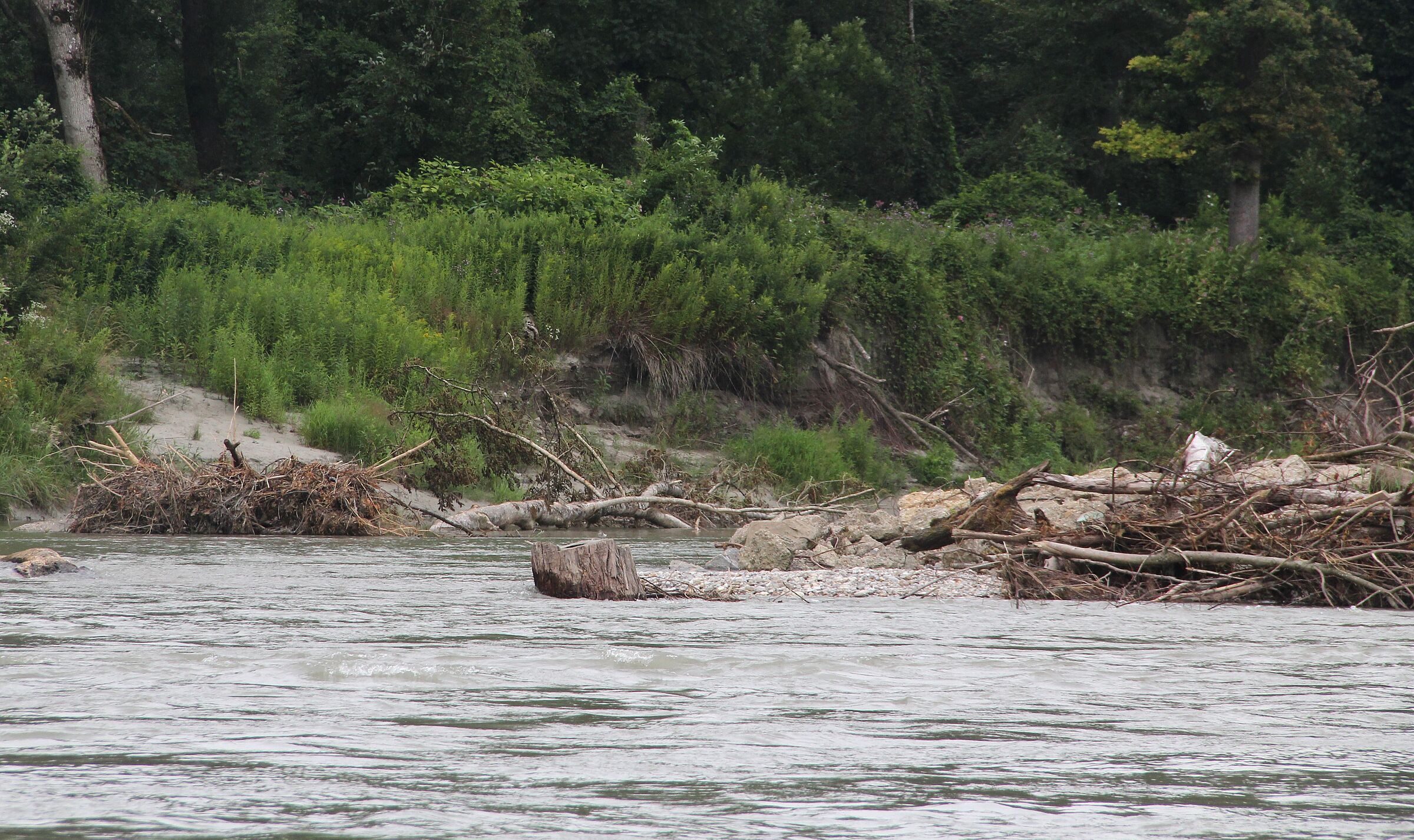 Foto: BN Rutkowski i Neue Lebensräume für Fische und Kiesbrüter an der Salzach