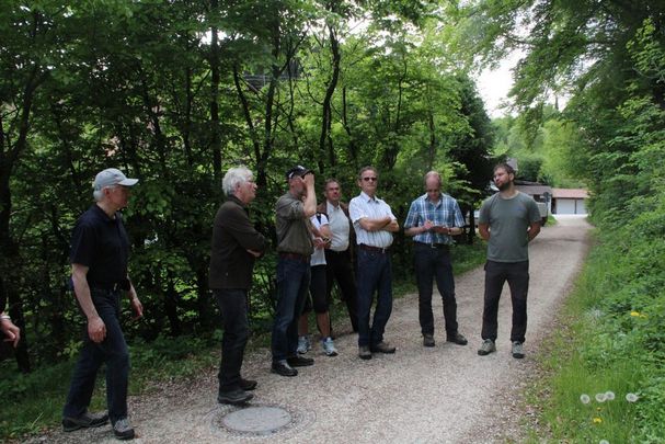 Teilnehmer einer Exkursion besichtigen den Leitenwald