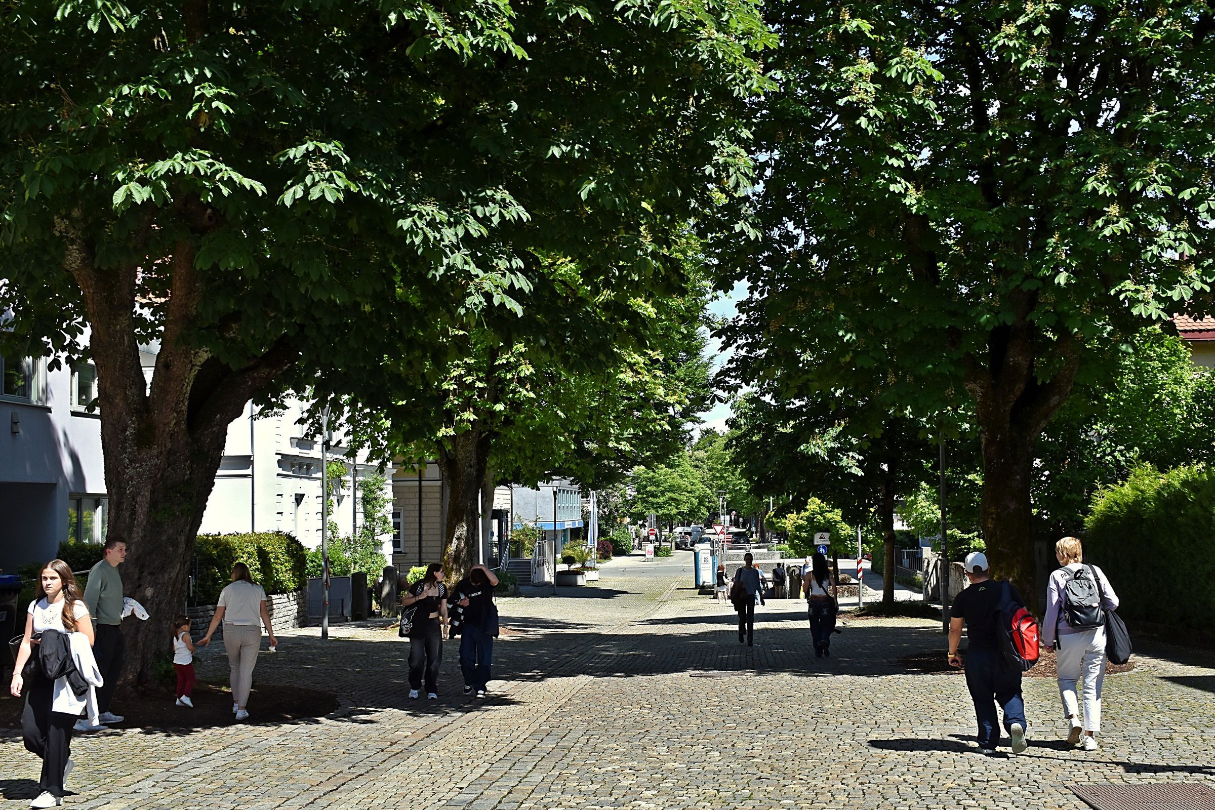 Foto: C. Rutkowski - Allee in Traunstein Bahnhofstraße Allee in Traunstein Bahnhofstraße