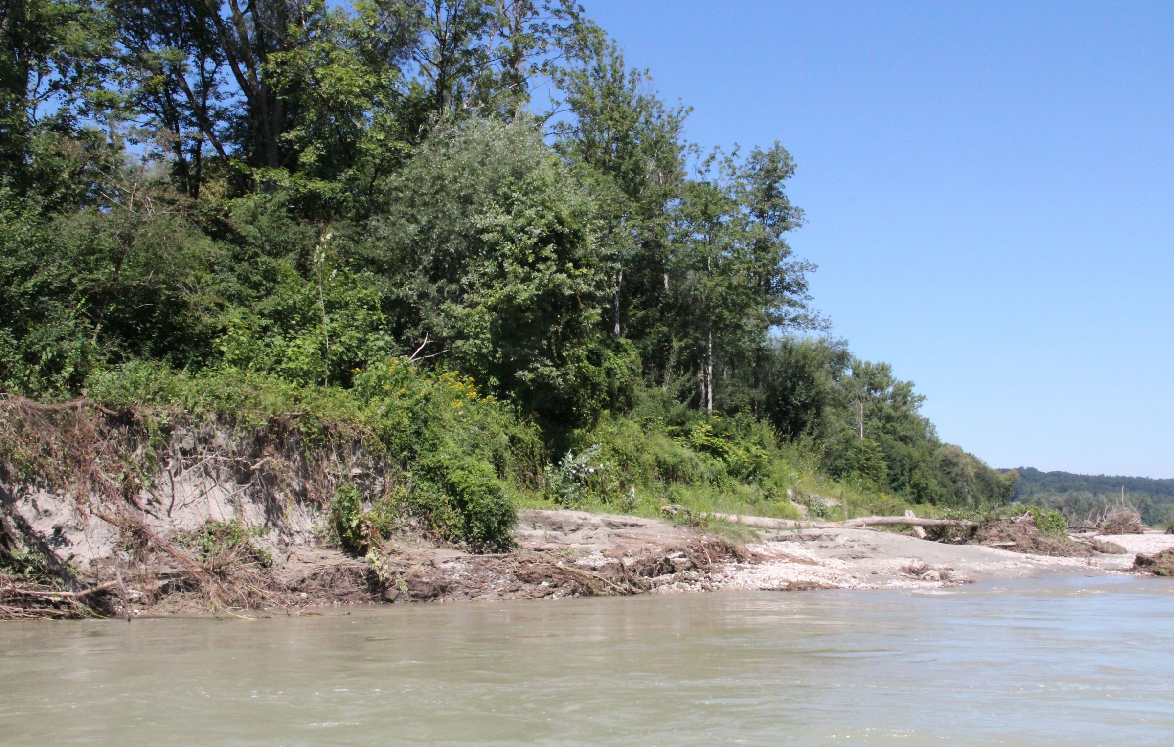 Foto: B. Rutkowski - Kiesbank Salzach 2025 Kiesbank Salzach 2025