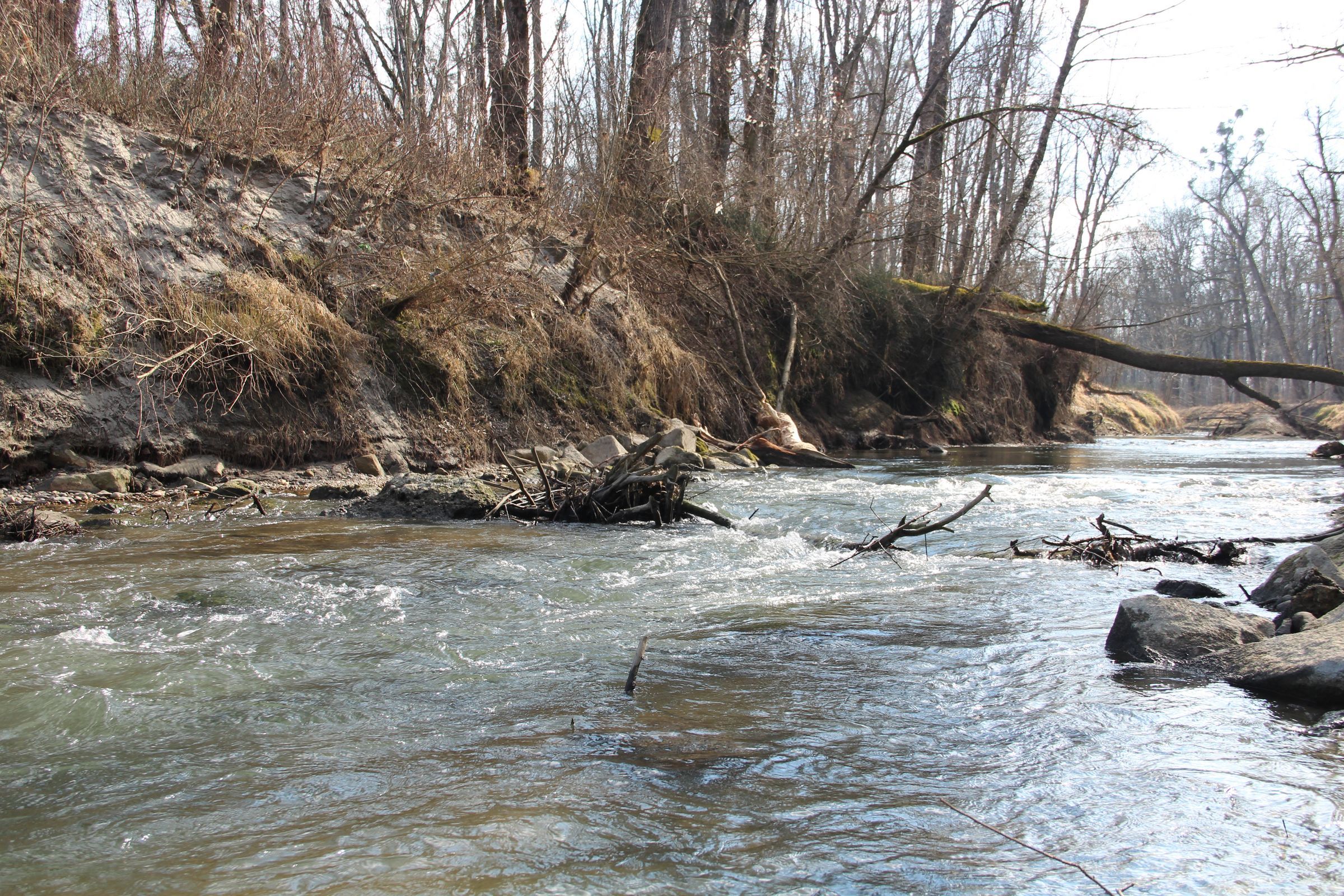 Foto: Rutkowski - In der Götzinger Ache wurde im Sommer 2025 PFAS gefunden In der Götzinger Ache wurde im Sommer 2025 PFAS gefunden