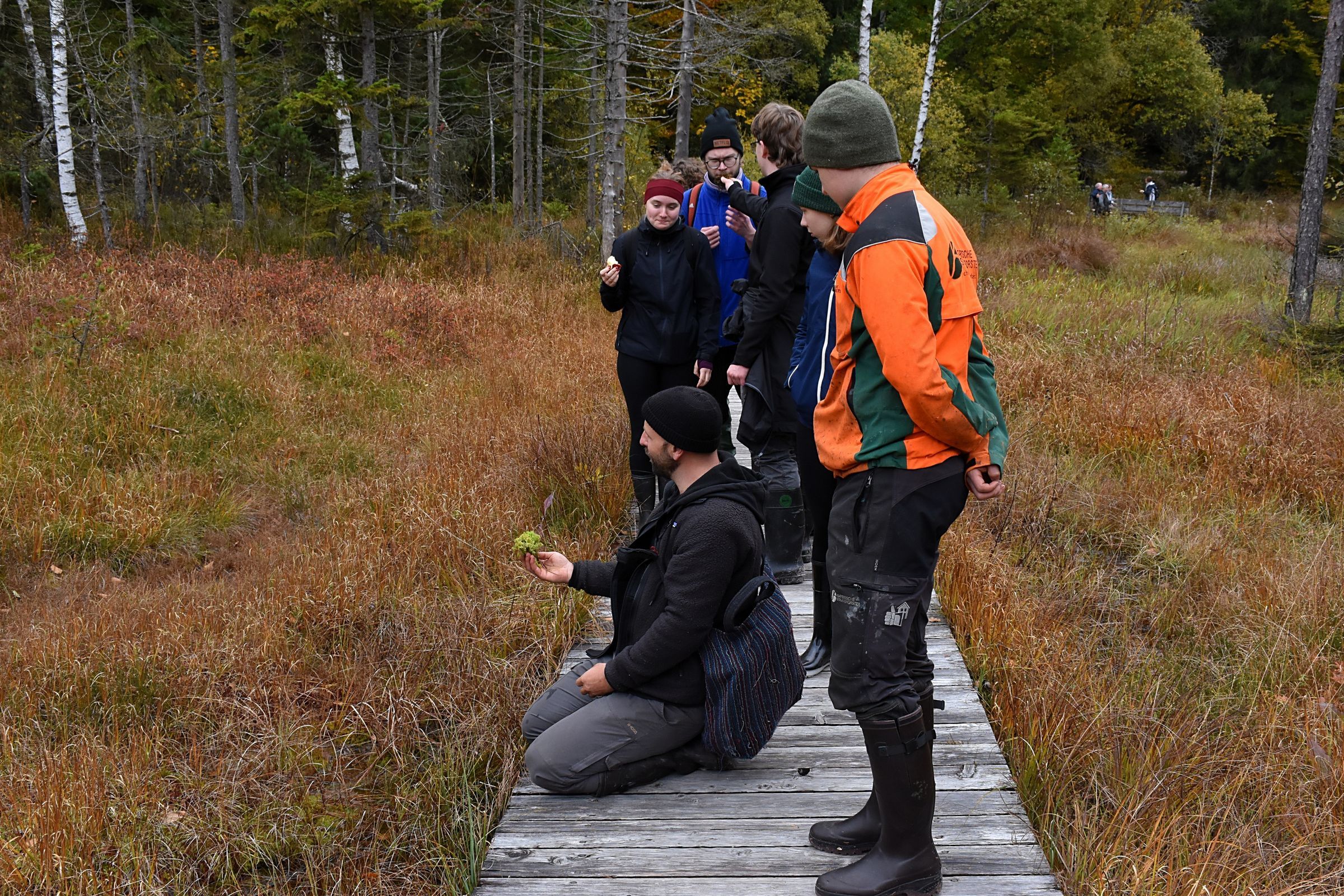 Franz Wenzl erklärt charakteristische Pflanzen des Moors