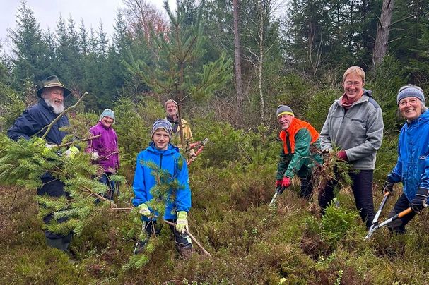 Menschen entbuschen das Moor