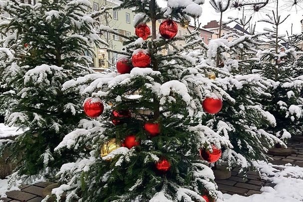 Christbaum auf dem Traunsteiner Stadtplatz