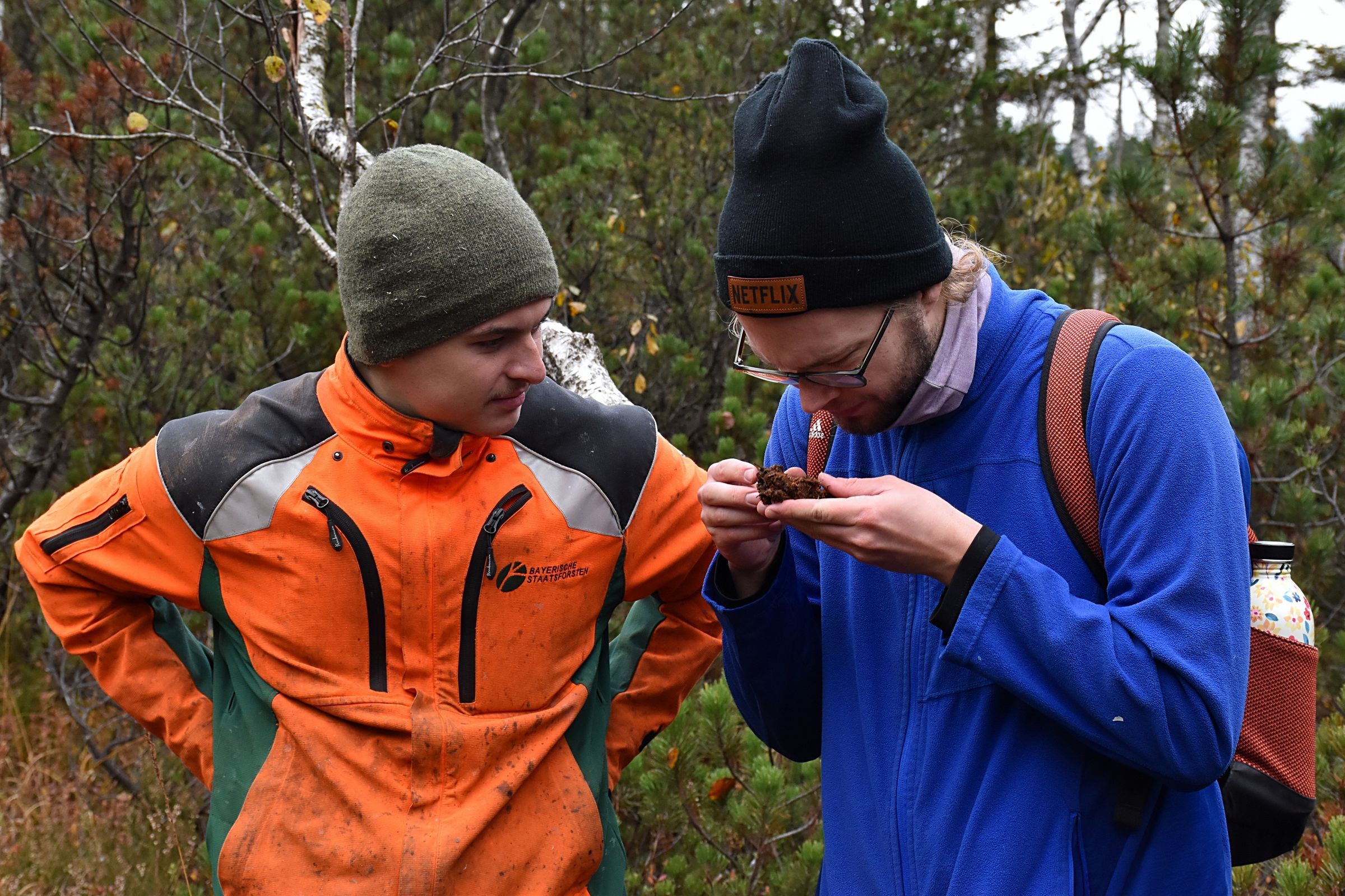 Das Torfmoos wird genau untersucht