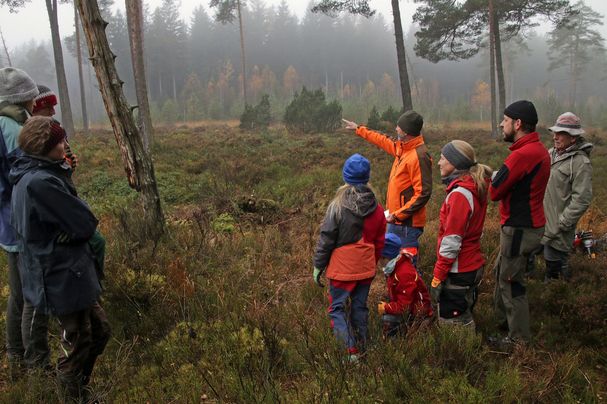 Die HelferInnen lauschen der Erklärungen zum Ödmoos