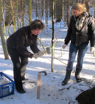 BUND Naturschutz Traunstein sucht die Wildkatze BUND Naturschutz Traunstein sucht die Wildkatze