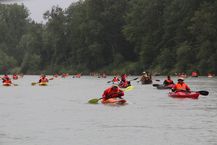 BUND Naturschutz für eine frei fließende Untere Salzach. Foto: BN