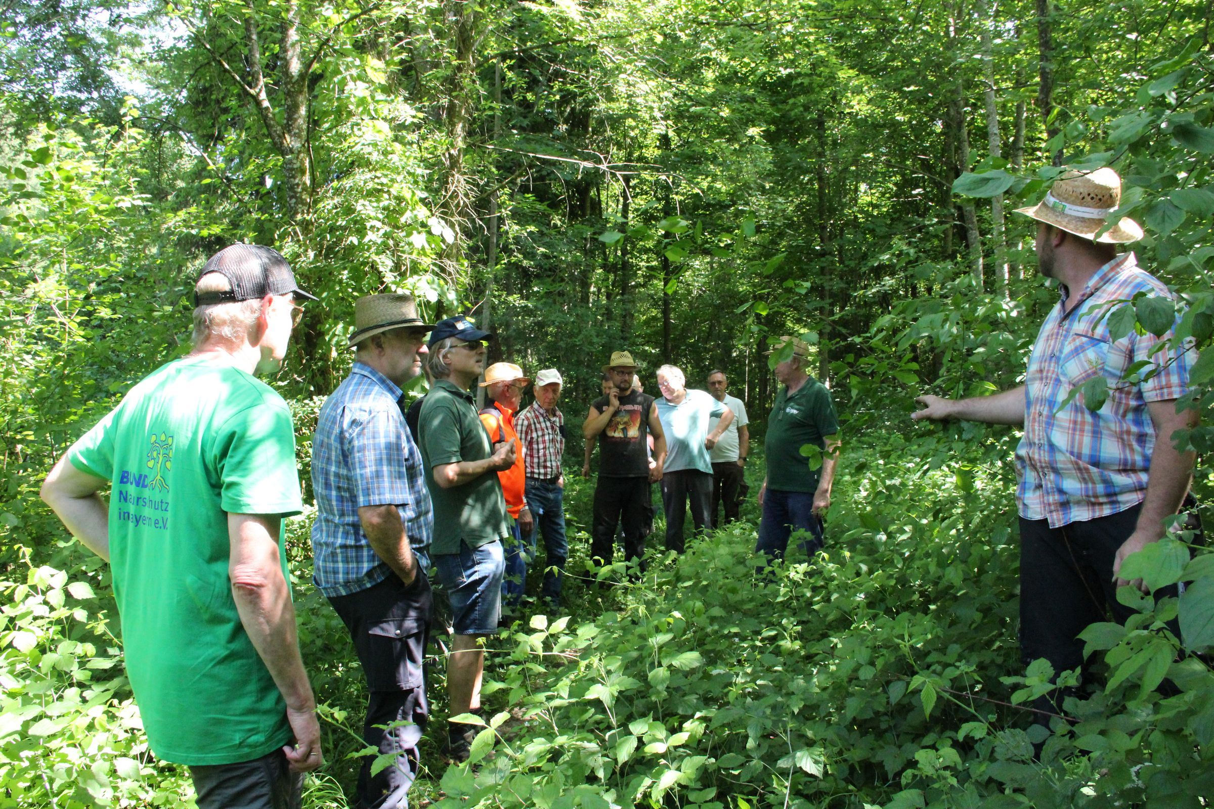 Waldexkursion Eschen in den Alzauen