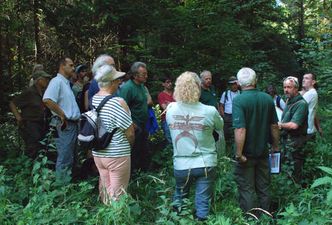 Bund Naturschutz - Auwaldexkursion 2018. Foto: BN Bund Naturschutz - Auwaldexkursion 2018. Foto: BN