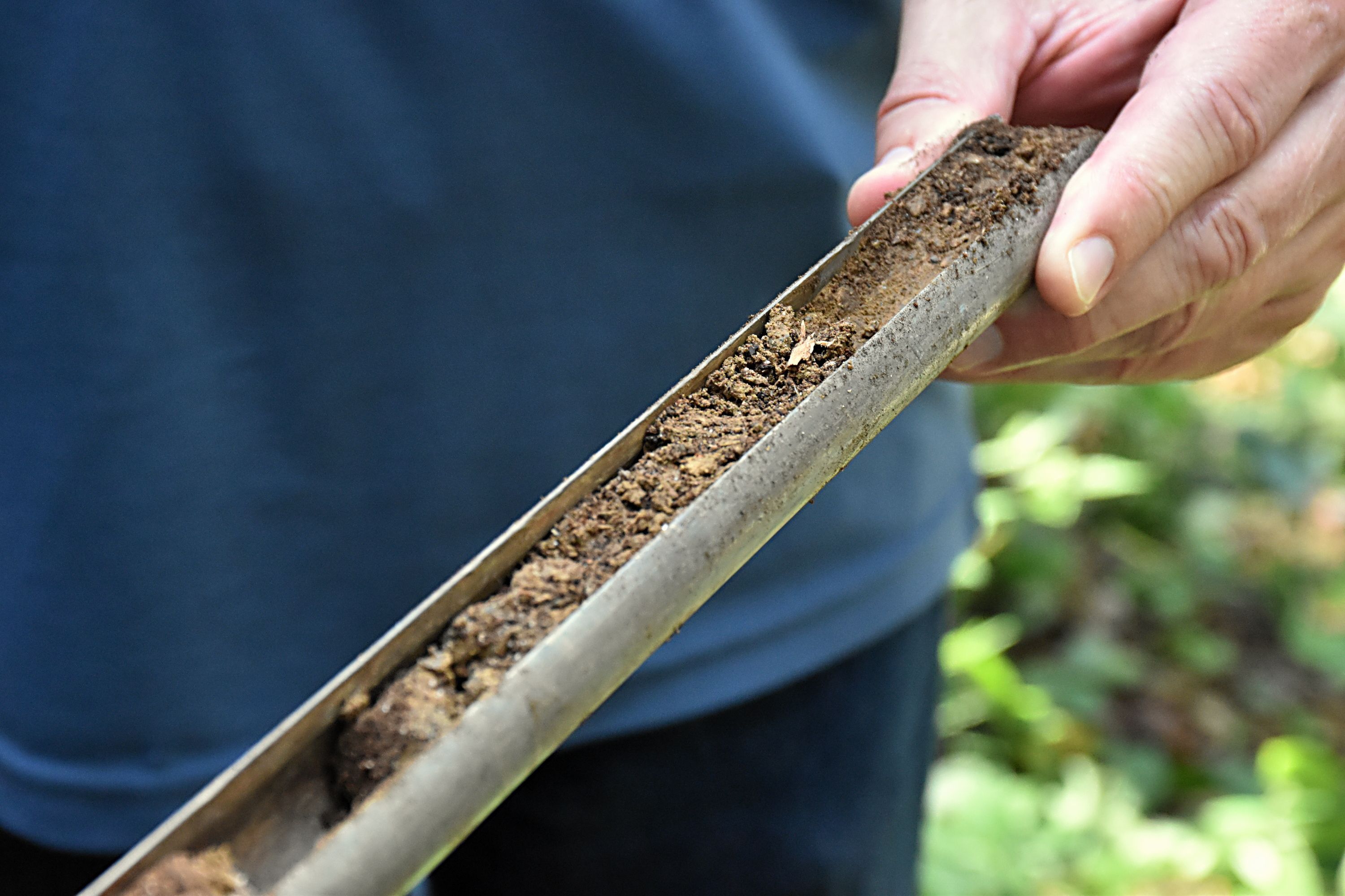 Foto: C. Rutkowski - ausgetrockneter Mineralboden aus 70 cm Tiefe Bohrstock mit Bodenprobe
