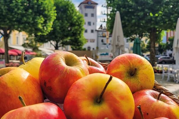 Vordergrund rote Äpfel Hintergrund Stadtpaltz Traunstein