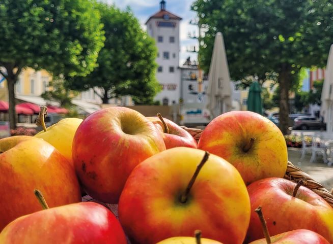 Vordergrund rote Äpfel Hintergrund Stadtpaltz Traunstein