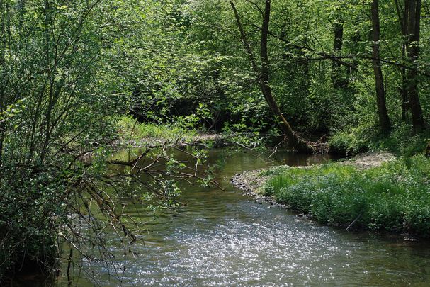 Götzinger Ache