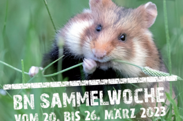 Plakat mit Feldhamster