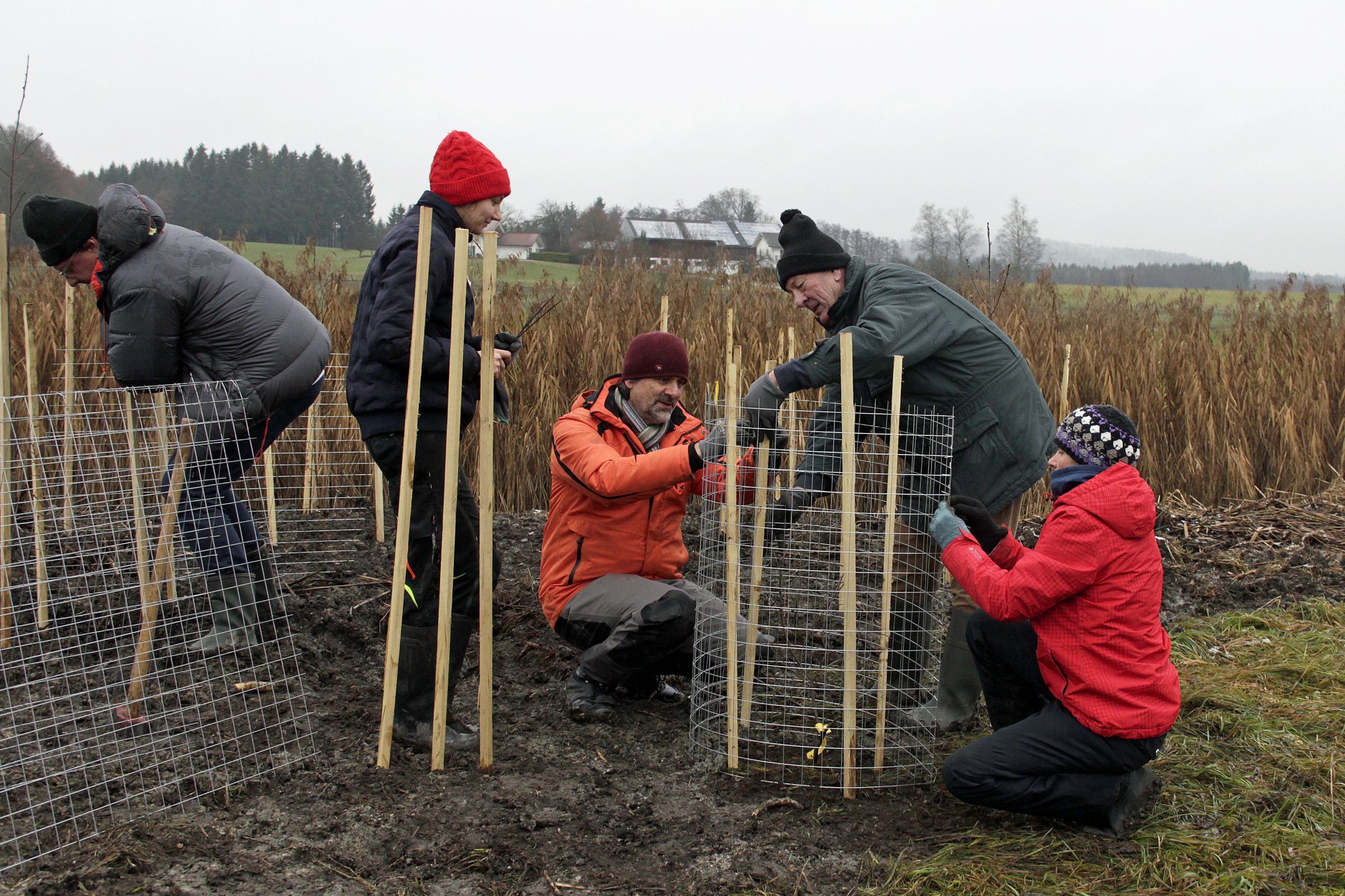 Foto: C. Lahr - Pflanzaktion Ischler Ache Menschen pflanzen Bäume