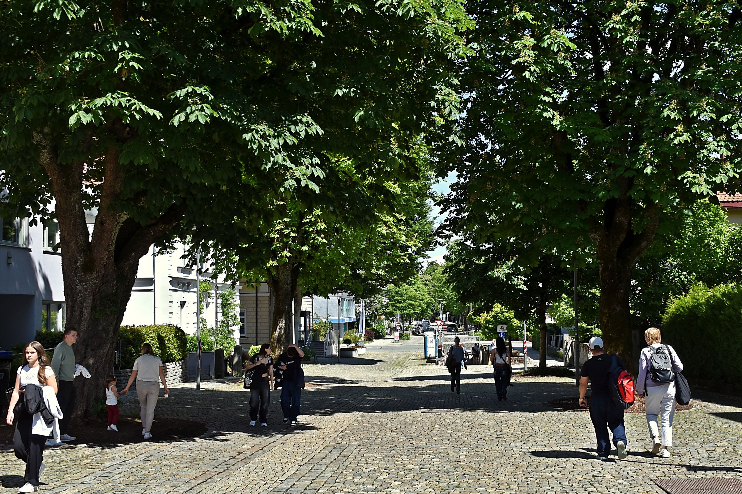 Allee in Traunstein Bahnhofstraße