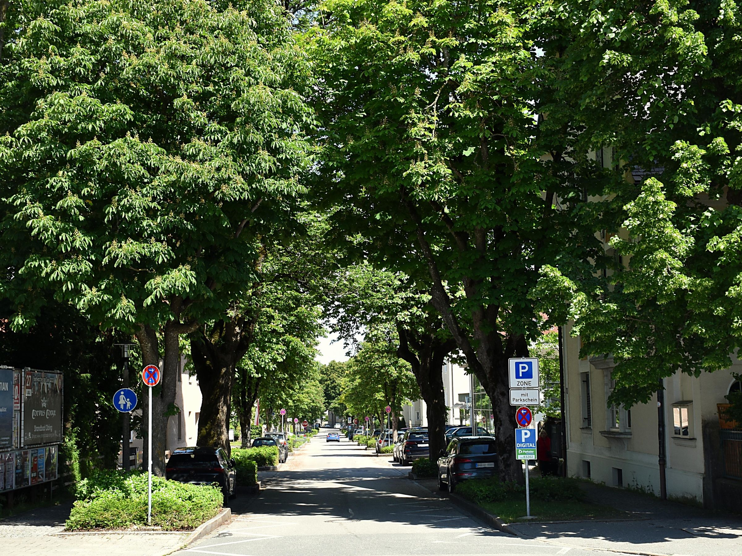 Allee in Traunstein Crailsheimstraße