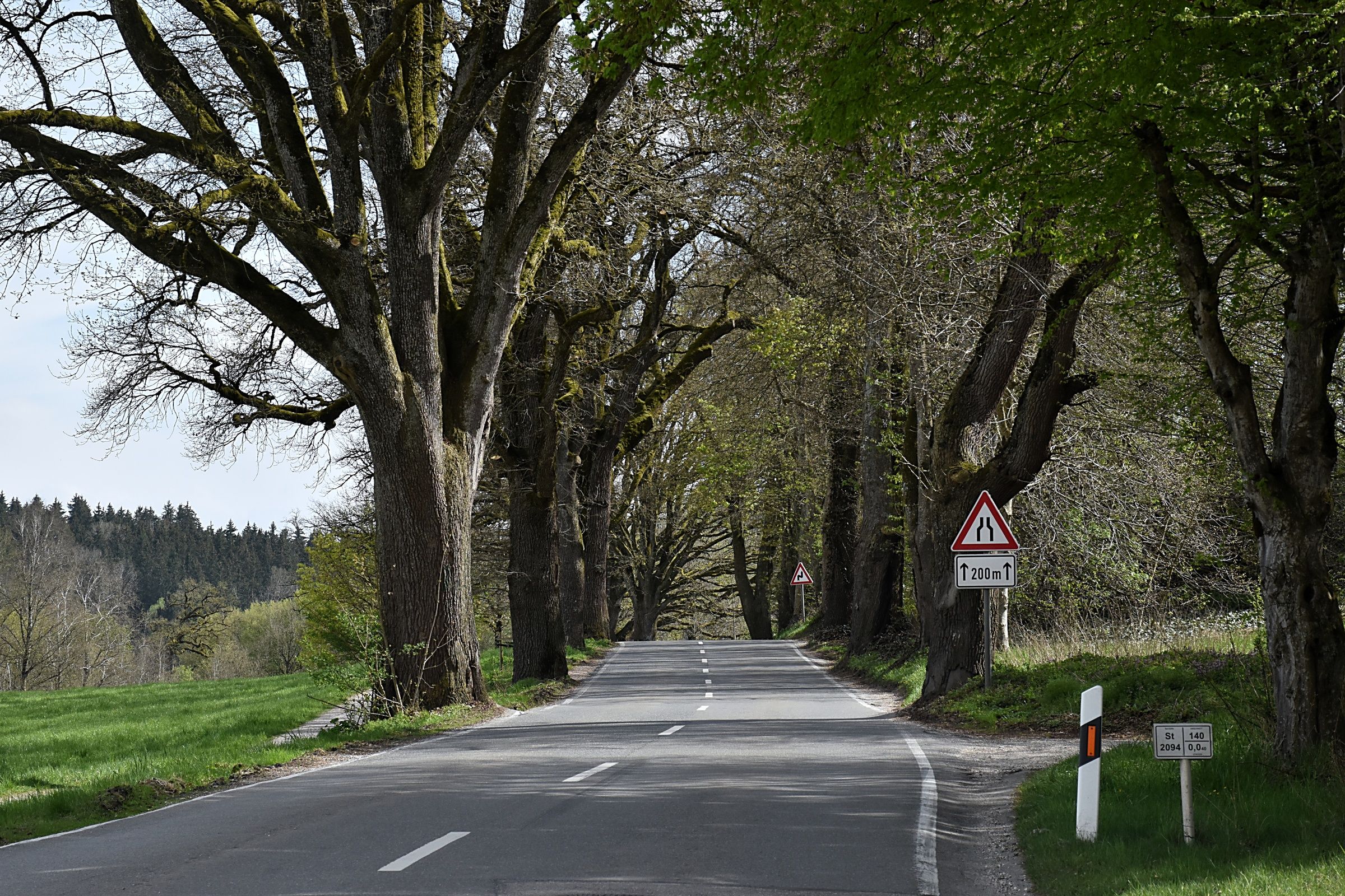 Foto: C. Rutkowski - Allee bei Seeon Allee bei Seeon