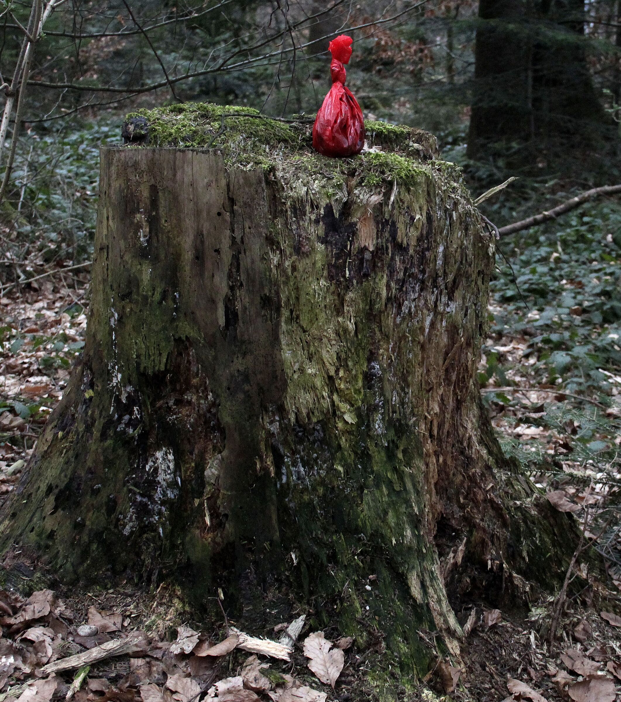 Voller Hundekotbeutel auf Baumstumpf