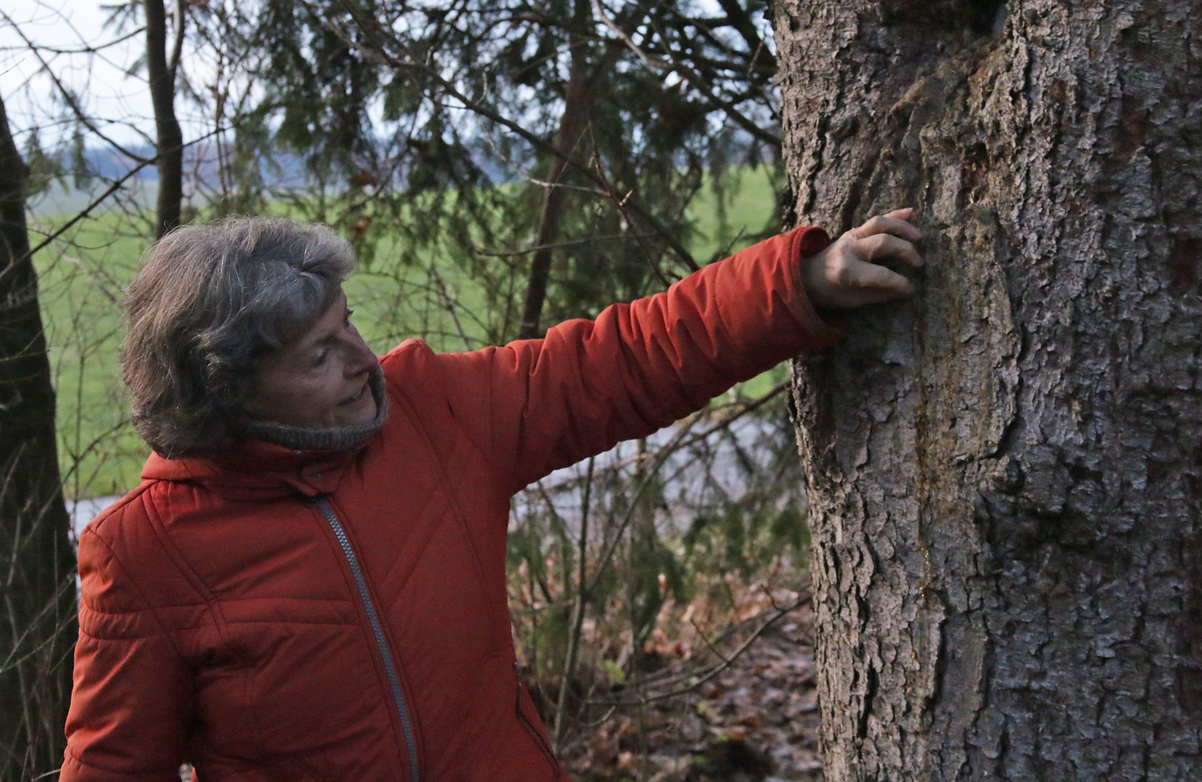 Exkursionsführerin beim Vortrag
