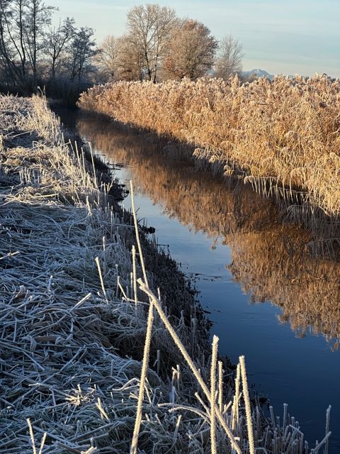 Foto: R. Pahl - Ischler Ache Bach im Winter