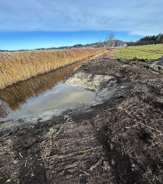 Foto: R. Pahl - Bachmuschelprojekt Aufweitung eines Baches