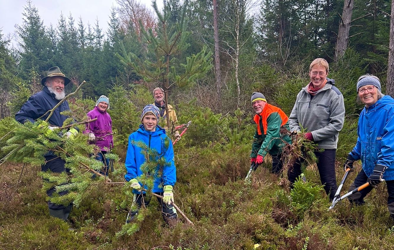Menschen entbuschen das Moor