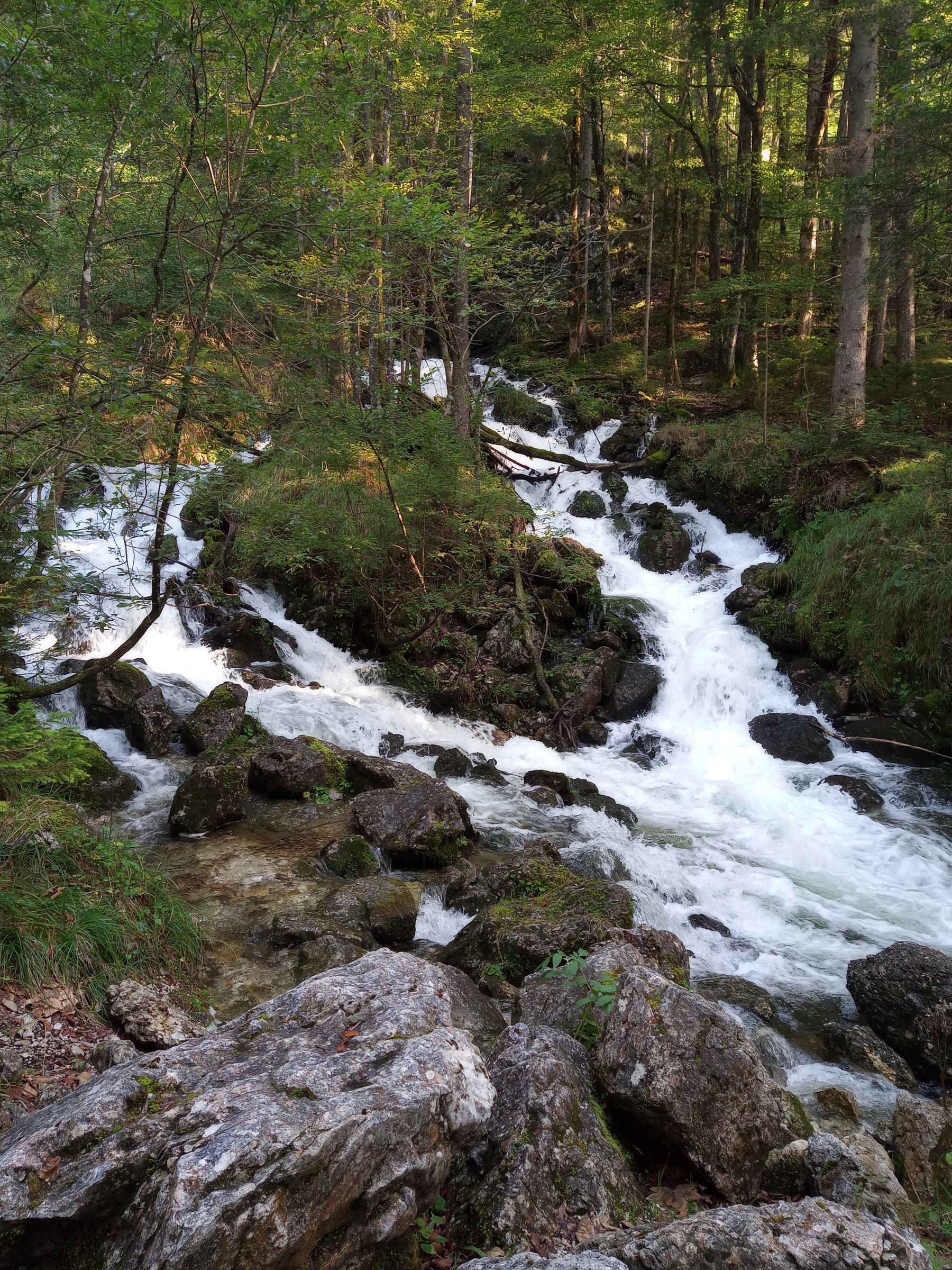 Grundwasser tritt an die Oberfläche