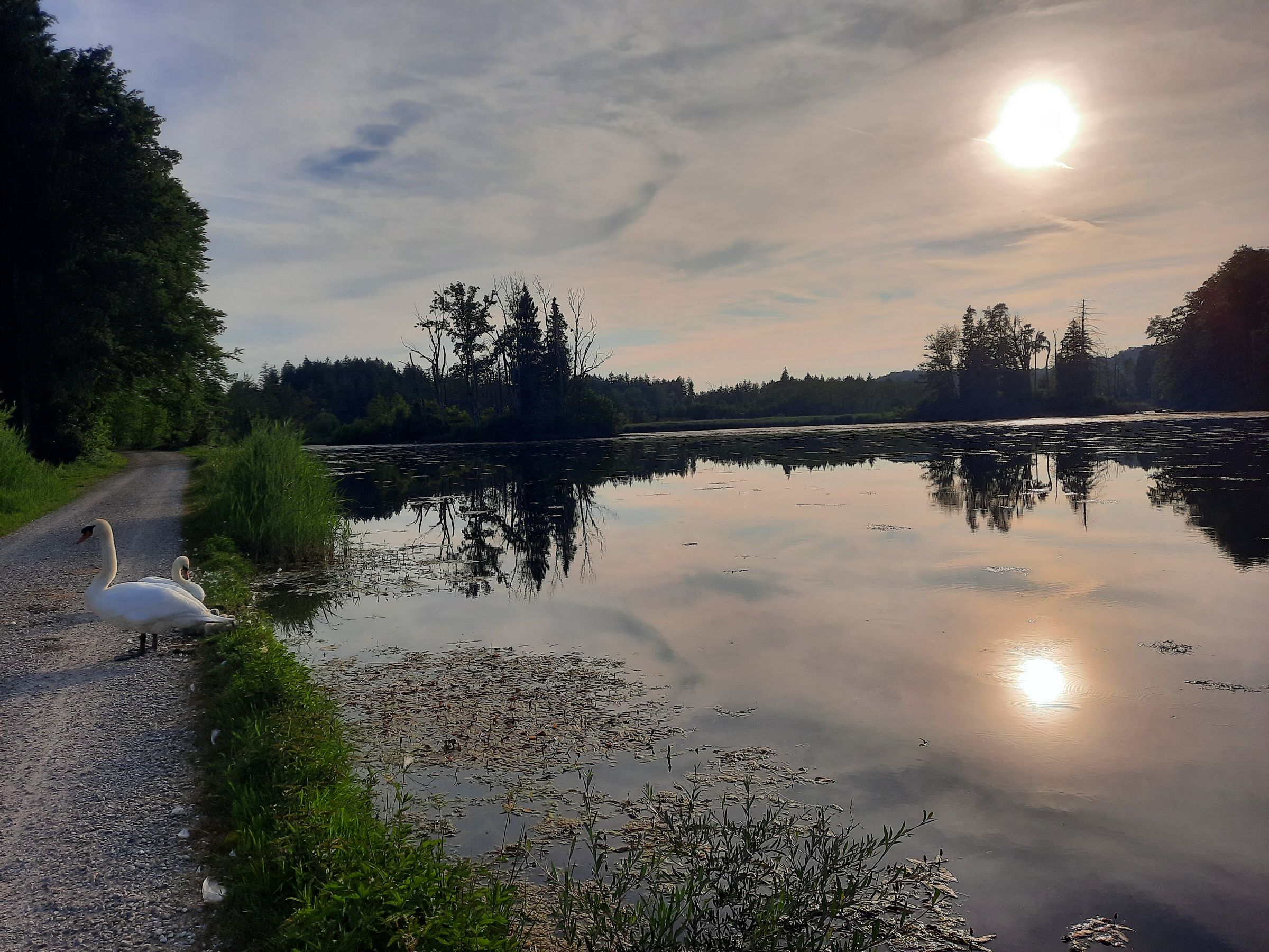 Foto: M. Hohenleitner - Bansee in Seeon Der Bansee in Seeon