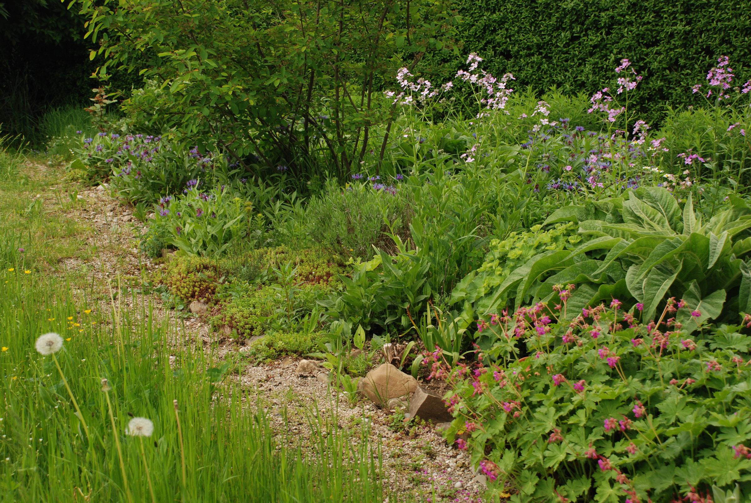 Naturnaher Garten