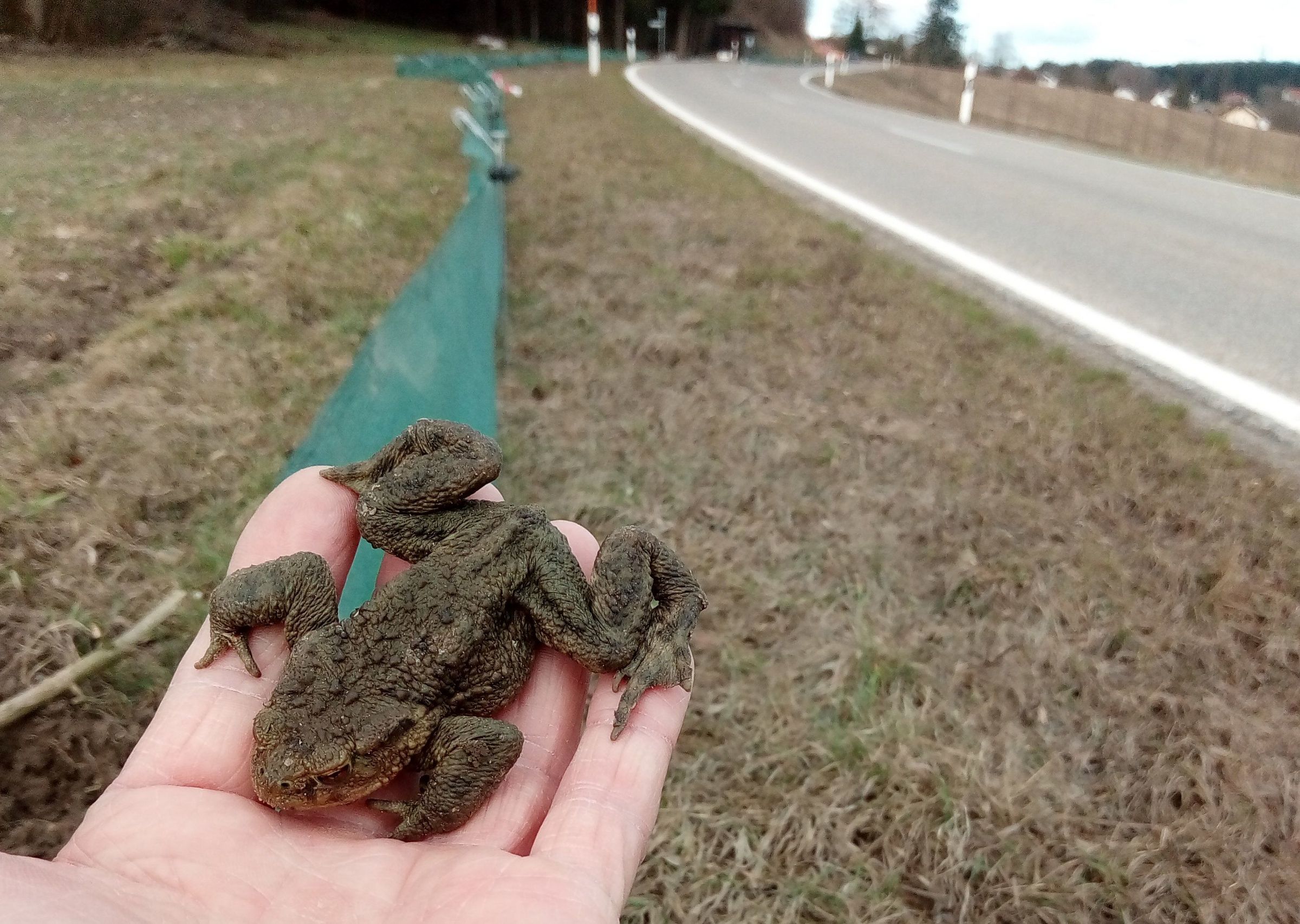 Köten retten macht Freude!
