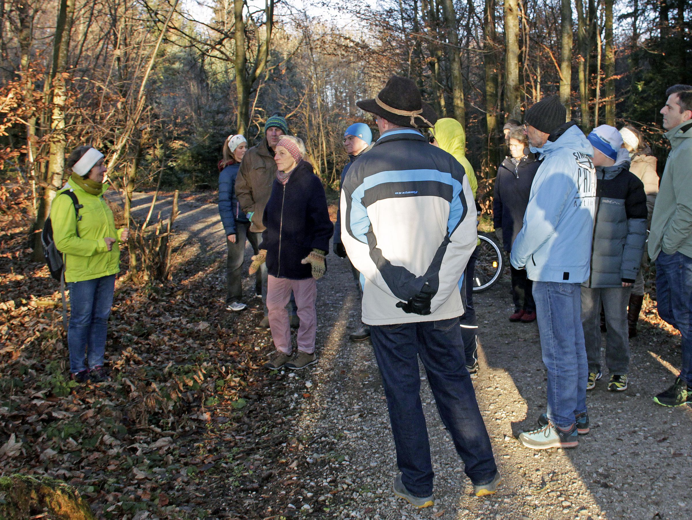 Exkursionteilnehmer der Winterwanderung im Haidforst